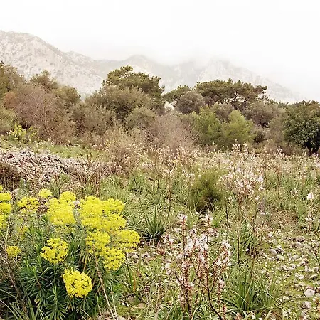 Merhaba Bungalow Vendégház Beykonak