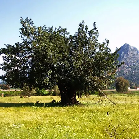 Merhaba Bungalow Maison d'hôtes *