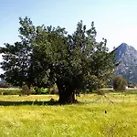 Merhaba Bungalow Πανσιόν *