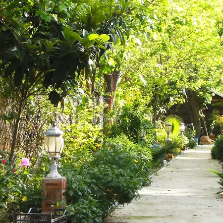 Πανσιόν Merhaba Bungalow